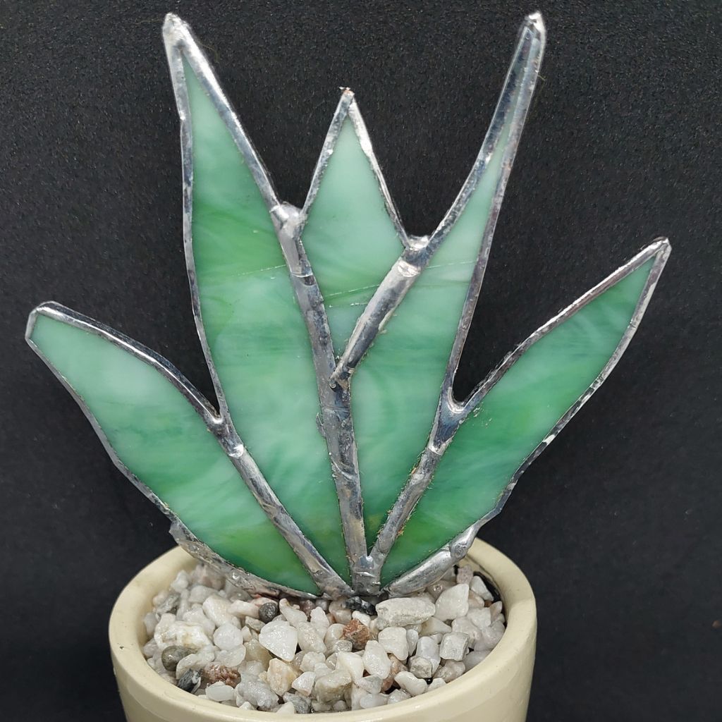 7